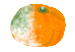 go badのイラスト